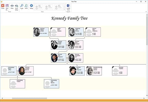 Pedigree chart - full tree, standart template