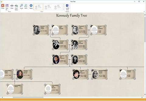 Pedigree chart - full tree, modern template