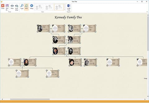 Pedigree chart - Direct ancestors and descendants, template 1